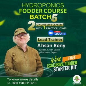 Hydroponic Batch 6