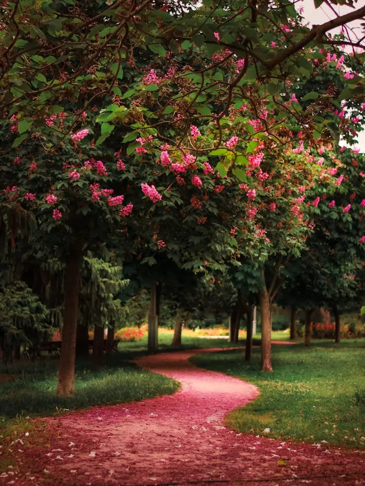 Image hover effect image